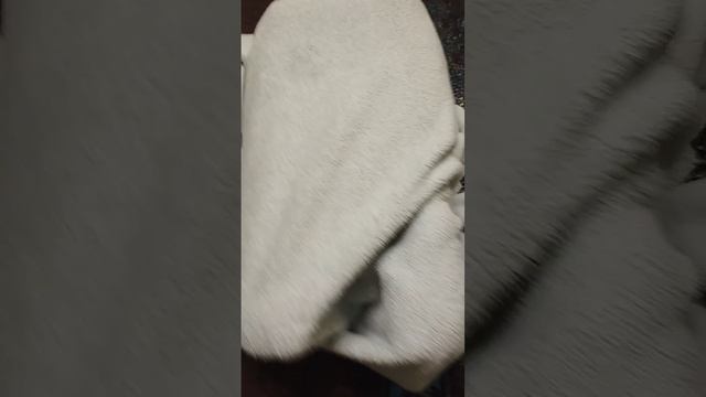 Арбуз Арбуз привет