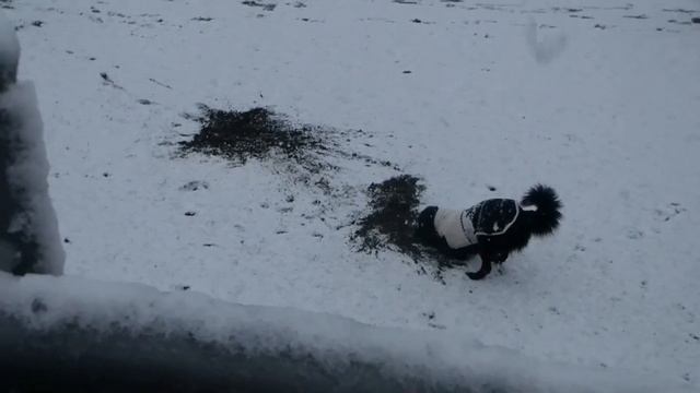 Neve sulla spiaggia di Agropoli 27 02 18 смотреть онлайн