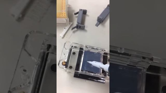 Agarose Gel Electrophoresis Part 2 смотреть онлайн