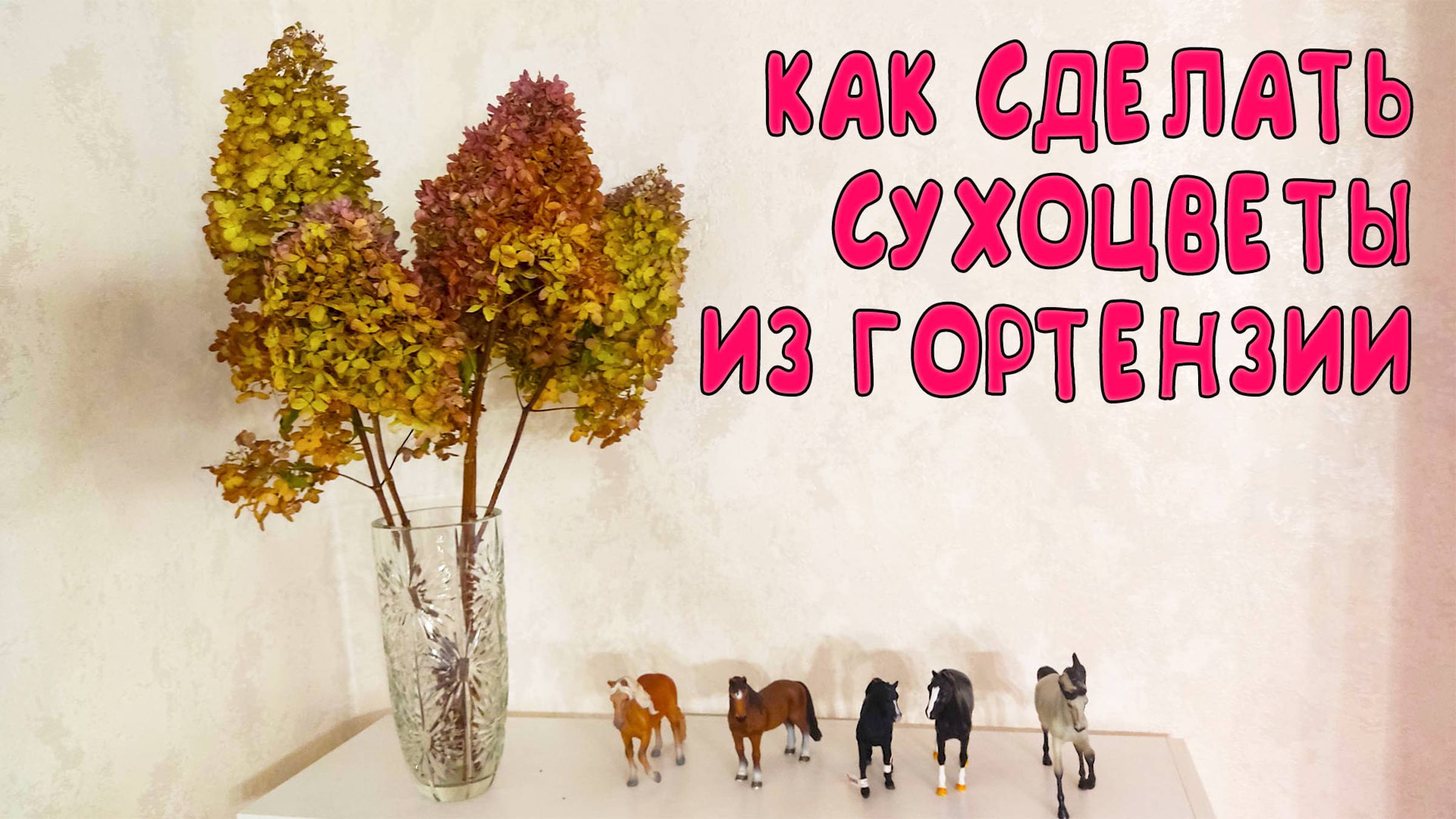 ✅ БУКЕТ ГОРТЕНЗИИ БУДЕТ СТОЯТЬ ВСЮ ЗИМУ: КАК СДЕЛАТЬ СУХОЙ БУКЕТ ИЗ ГОРТЕНЗИИ 🌸 смотреть онлайн