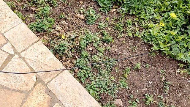 PMR 446MHz Antenna Modification + Diamond X-50 Antenna