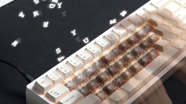 Higround x TTC Titan Heart Keyswitch Typing Test смотреть онлайн