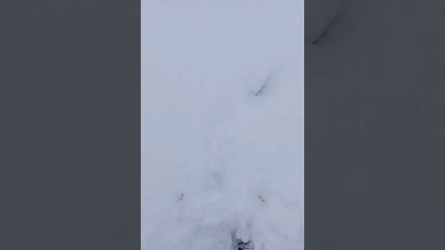 Хруст снега #снег #зима смотреть онлайн