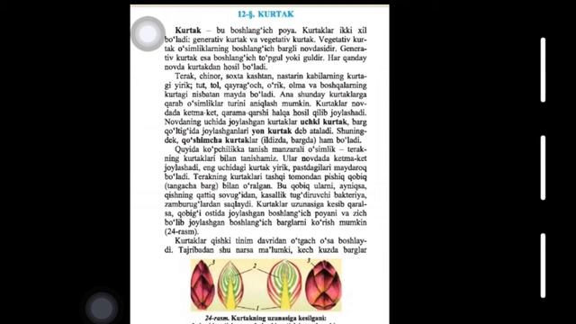 6-sinf botanika 12-dars: Kurtak // Biologiya биология 12-дарс: Куртак смотреть онлайн