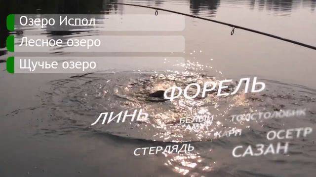 Охотхозяйство Экомир смотреть онлайн