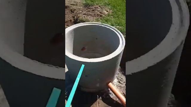 Переливной септик для бытовой воды смотреть онлайн