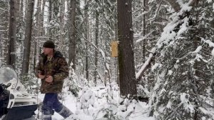 Первая проверка капканов на
Соболя. Добавляю еще ящики на новом путике.