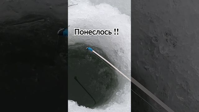 Как клюёт густера в зимнее время смотреть онлайн