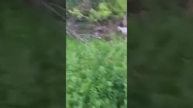 Живая вода 1 смотреть онлайн