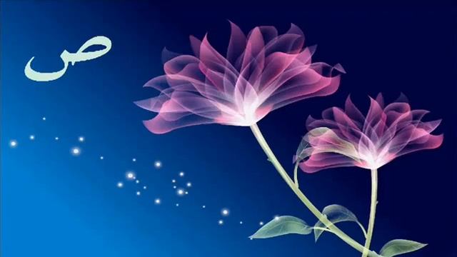 Имад аль Мансари сура 'Сад' смотреть онлайн