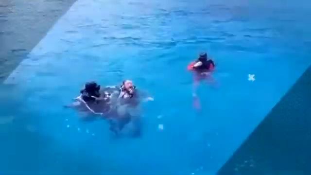 Первое погружение Софи смотреть онлайн