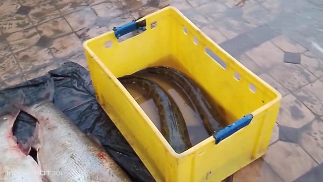 Sirdaryo baliq bozori смотреть онлайн
