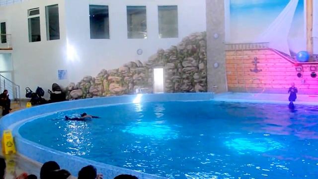 Трускавец Дельфинарий трюк стойка на руках смотреть онлайн