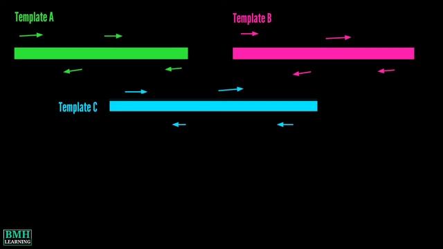 RAPD | Random Ampliﬁed Polymorphic DNA | RAPD Markers | смотреть онлайн