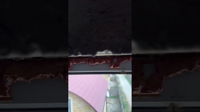 Мансардные окна