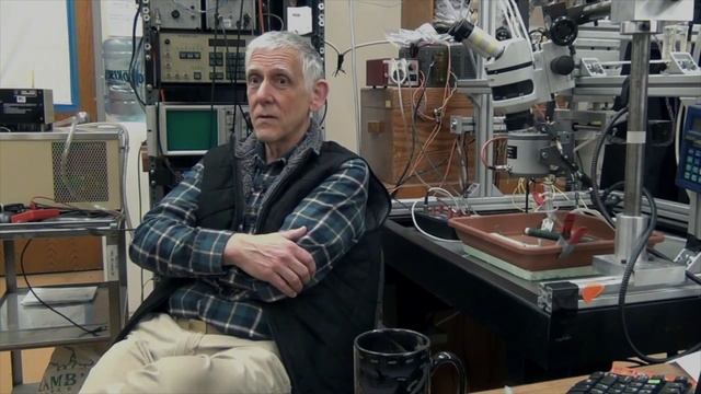 Squid Axon and Measuring Technique смотреть онлайн