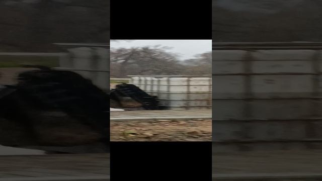 VID_20241121_144641 смотреть онлайн