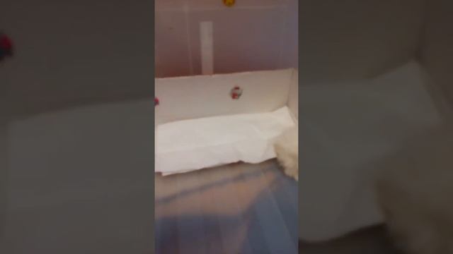 Комната Хоулин смотреть онлайн