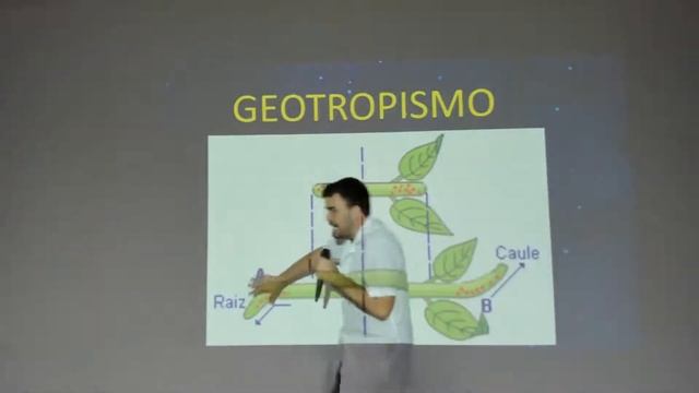 B2 SEMANA 09 смотреть онлайн