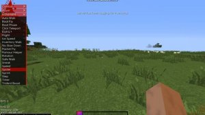 Разбор функций чита inertia