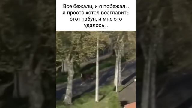 Лошадь и велосипедисты смотреть онлайн
