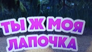 Маша и медведь ты же моя лапочка