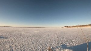 9. Рыбалка на перемёты. Ловля налима. Чёрная дыра. 14.11.2022