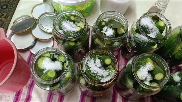 Собрали комод/Быстрай завтрак/Мариную огурцы смотреть онлайн