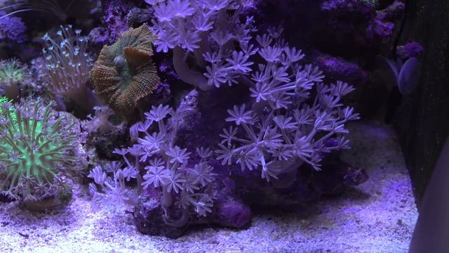 20 советов начинающим морякам смотреть онлайн