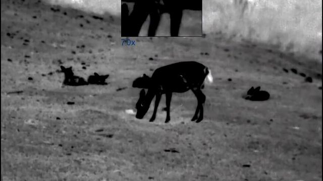 The new Pulsar Axion XQ series - Axion XQ38 and Axion XQ38 LRF смотреть онлайн