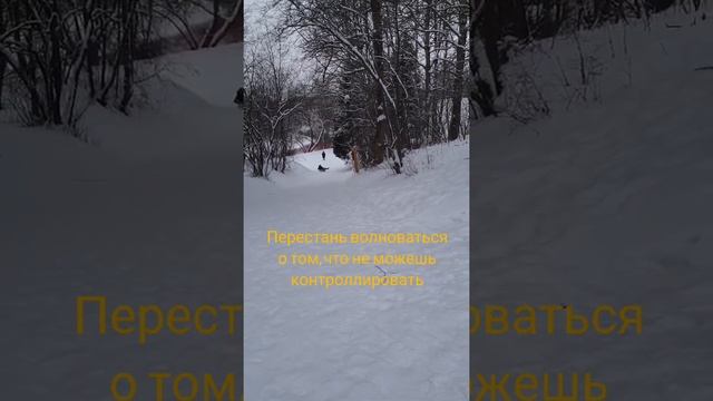 Просто живи! Душевное от htmlgirl смотреть онлайн
