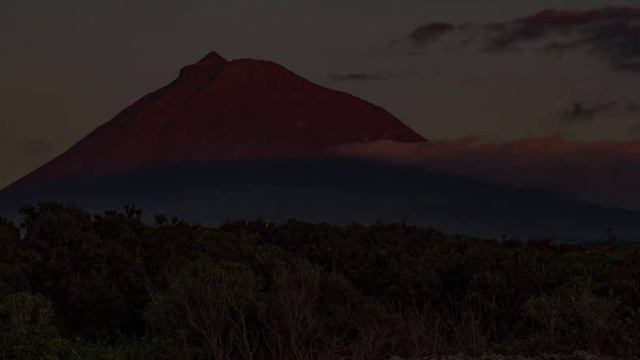 Tribute to Mount Pico смотреть онлайн