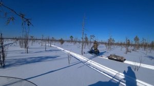 Снегоход Альбатрос везет дрова