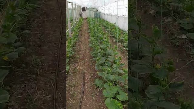 8 апреля 2021 г. смотреть онлайн