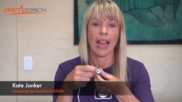 Unboxing OrcaTorch D530V & Snoot Dive Light for Underwater Photography смотреть онлайн