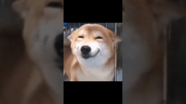 у мама что-то с работы принесла смотреть онлайн