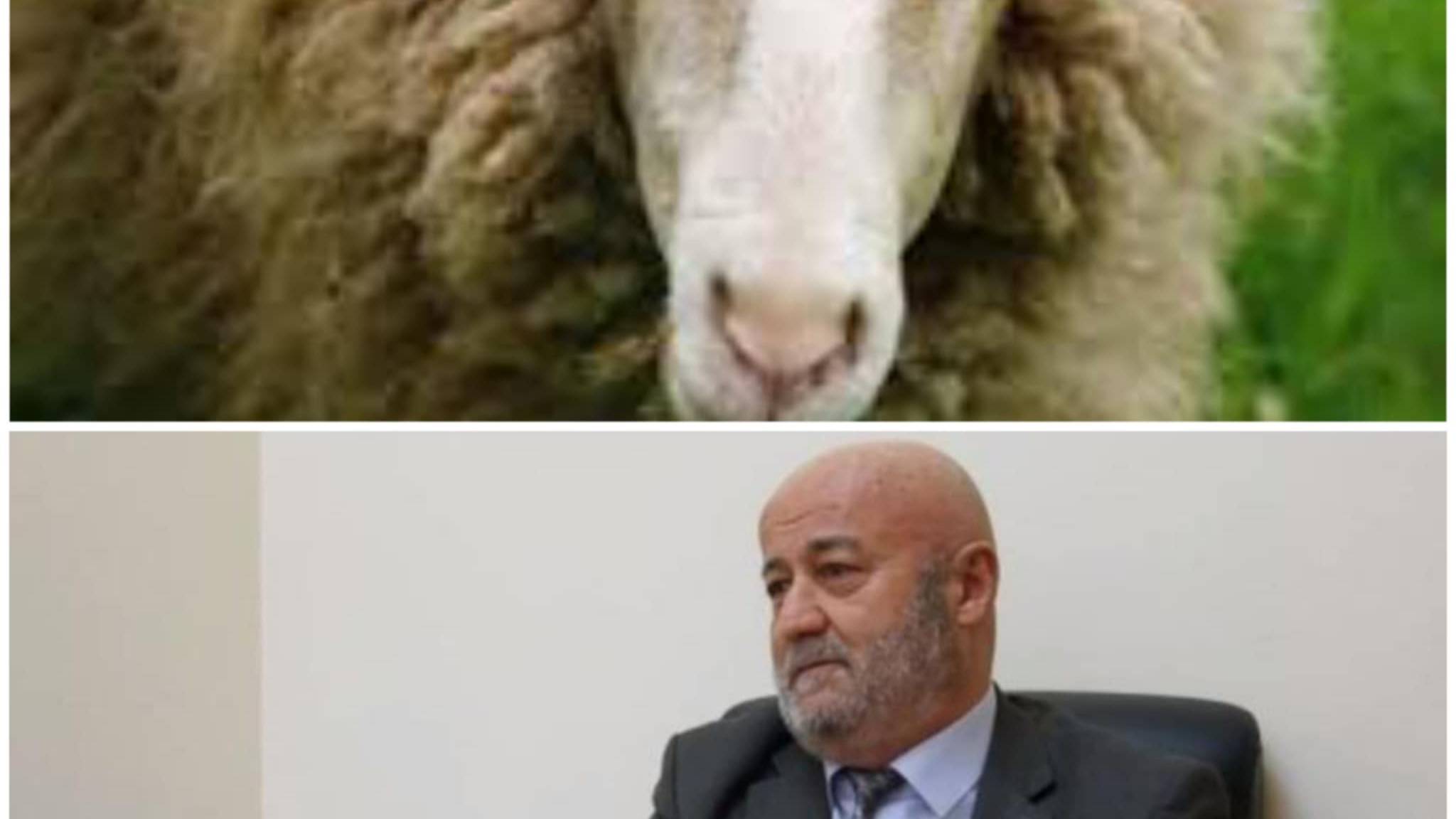 Հակակոռուպցիոնի ղեկավարը ինքը պիտի որոշում կայացներ վարչապետի դեմ քրեական վարույթ հարուցելու մասին