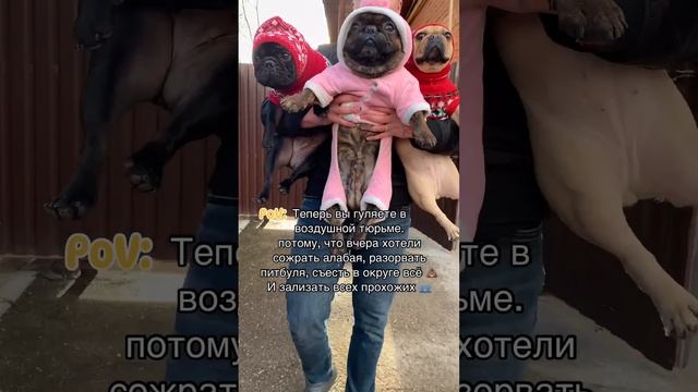 Клип Корпорация Юмора смотреть онлайн