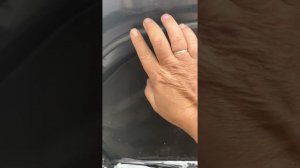 Хавал Н9 дизель. 1 год эксплуатации