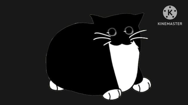Maxwell Cat (Phonk Remix)