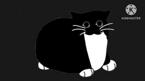 Maxwell cat (Phonk remix)