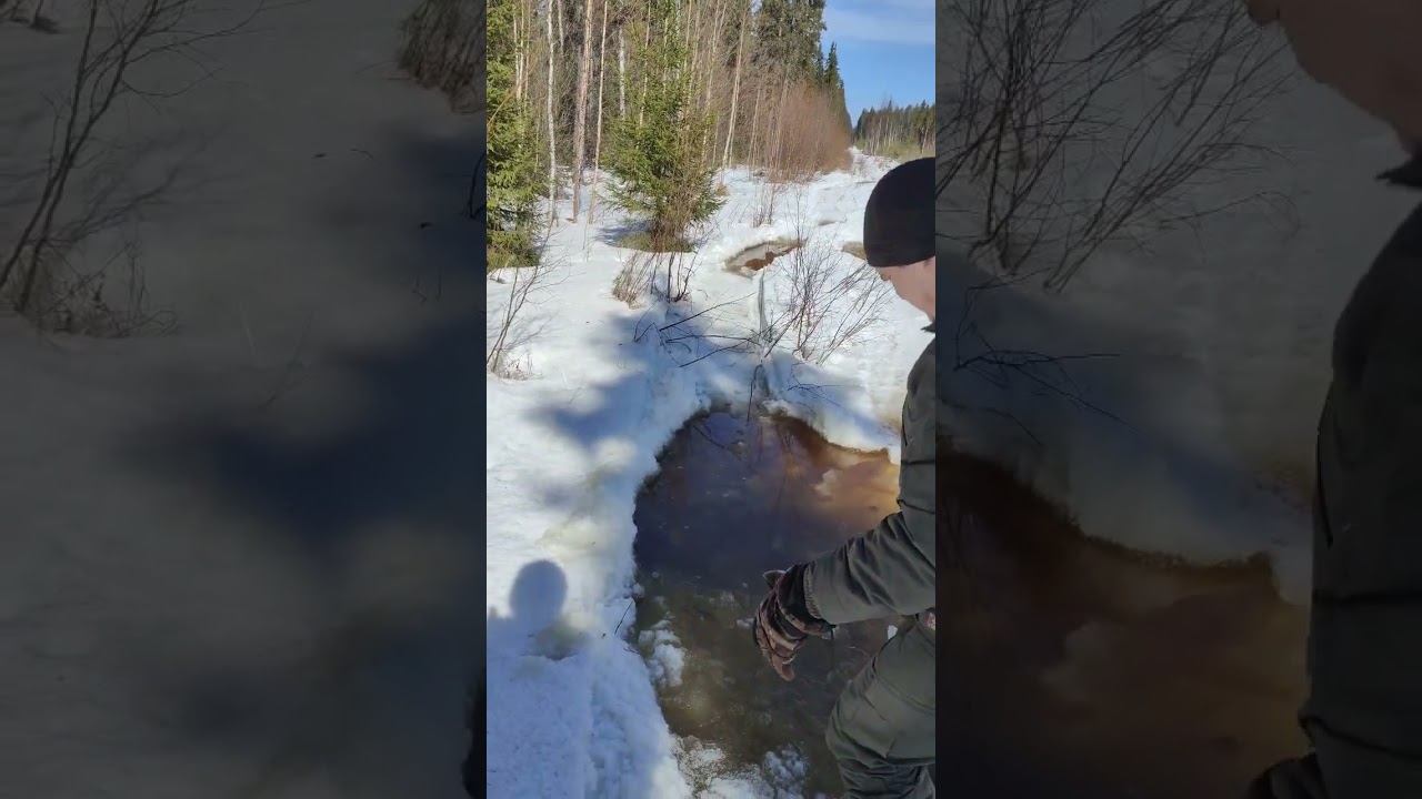 закрытие зимнего сезона смотреть онлайн