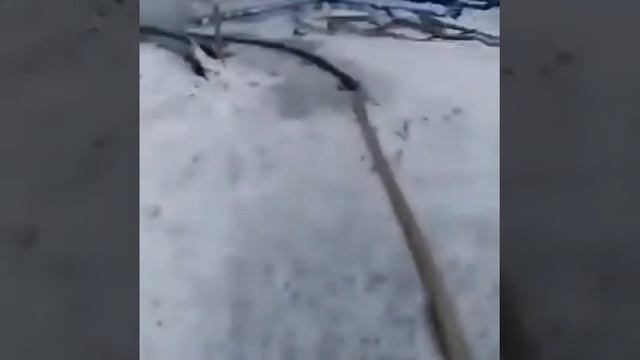 Прокачка скважины до визуально чистой воды смотреть онлайн