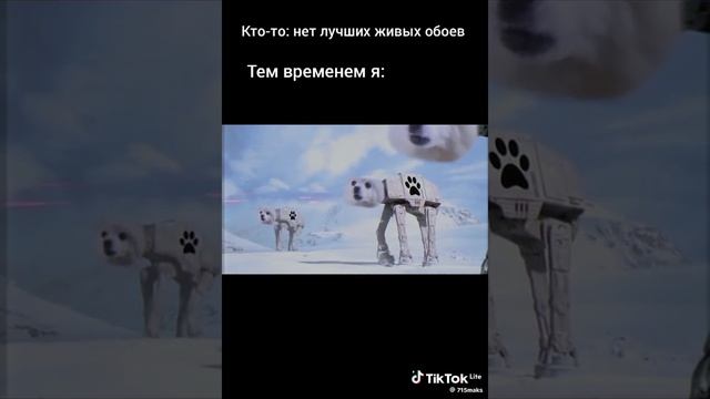 🩸𝖁𝖆𝖒𝖕𝖎𝖗𝖊 𝖈𝖆𝖒𝖊𝖗𝖆𝖒𝖆𝖓🚭