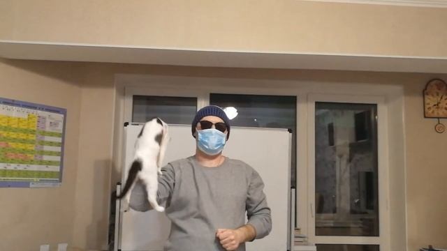КОТОМИНУТКА ЧАСТЬ 3. смотреть онлайн