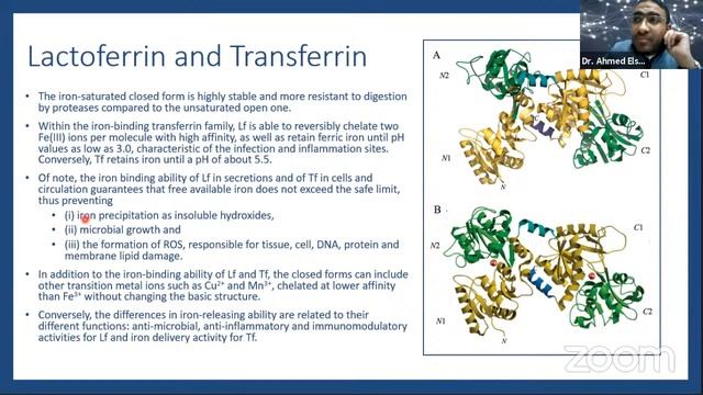 Lactoferrin: One Molecule for Multiple Purposes смотреть онлайн