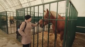 Чё там у цивилизации? Выставка в НСК. #40