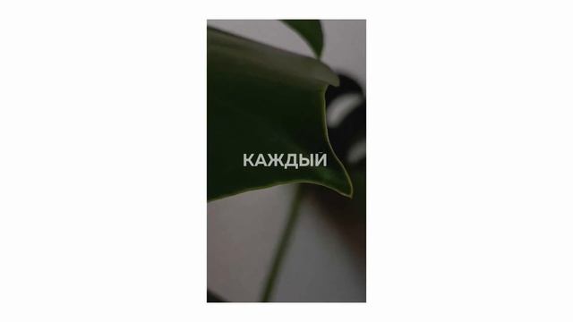 Видеопрактикум "Разглядеть" | Ноябрь | Pocket Film смотреть онлайн