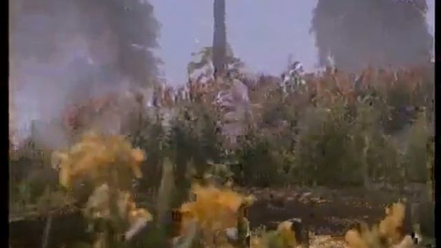 Beparwa Bedardi - Zarina Wahab & Amrish Puri - Naiyya - смотреть онлайн