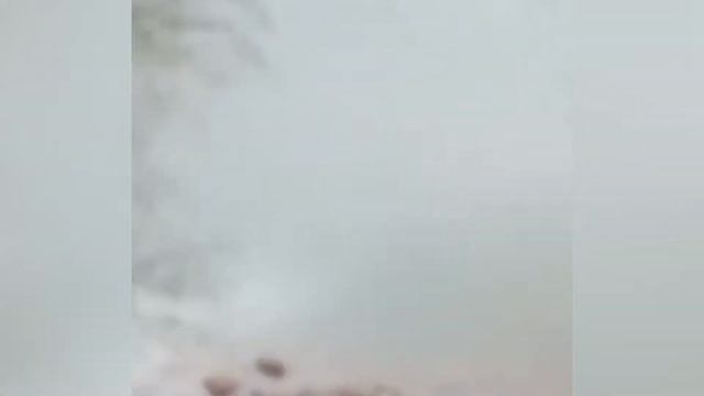 30 лет на болоте несколько улиц посёлка Первомайского постоянно заливает водопроводной водой смотреть онлайн